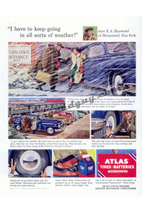 Melbourne Brindle art for Atlas Tires Ad, 1951