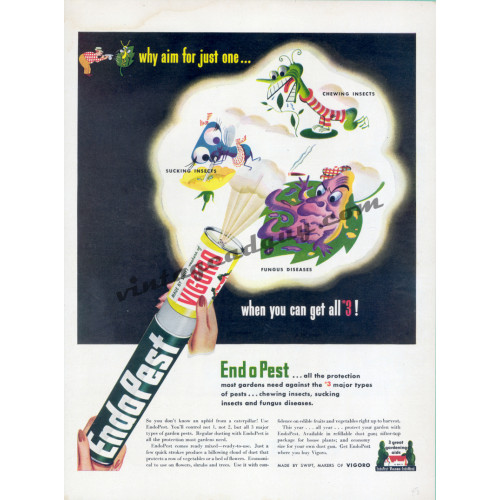 Vigoro EndoPest Pesticide, 1948 Ad